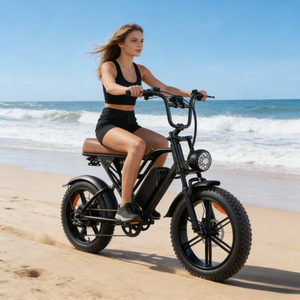 <span class=keywords><strong>Vélo</strong></span> <span class=keywords><strong>électrique</strong></span> cargo G60 à deux roues, moteur brushless 20AH, pour le transport de marchandises, les trajets urbains, la montagne et le tout-terrain, vente en gros directe usine Chine - Product Image 1