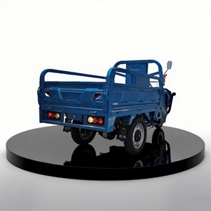 Sonlink điện hàng hóa ba bánh với khả năng chịu tải cao mở Cơ Thể 2t tải 3KW động cơ 50-70km phạm vi 2 hành khách - Product Image 3