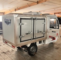 Tricycle électrique compact avec caisse frigorifique mobile, compresseur et panneau solaire pour petites entreprises