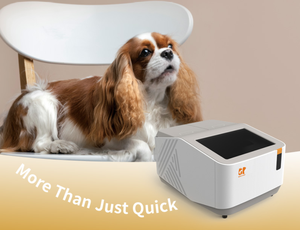 Kit de PCR en temps réel Getein <span class=keywords><strong>Akso</strong></span> Bab/Bgi pour le diagnostic auxiliaire de Babesia Canis et de Babesia Gibsoni chez les chiens - Product Image 3