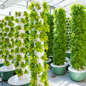 Système d'irrigation hydroponique pour ferme verticale aquaponique, galvanisé à chaud, haute rigidité, respectueux de l'environnement, structure stable, facile à utiliser - Product Image 1