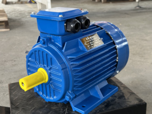 <span class=keywords><strong>Moteur</strong></span> d'induction marin triphasé <span class=keywords><strong>3KW</strong></span> 4HP 1450 tr/min à efficacité IE2, <span class=keywords><strong>220V</strong></span> AC, avec options de puissance nominale de 1KW et 15KW - Vente flash - Product Image 5