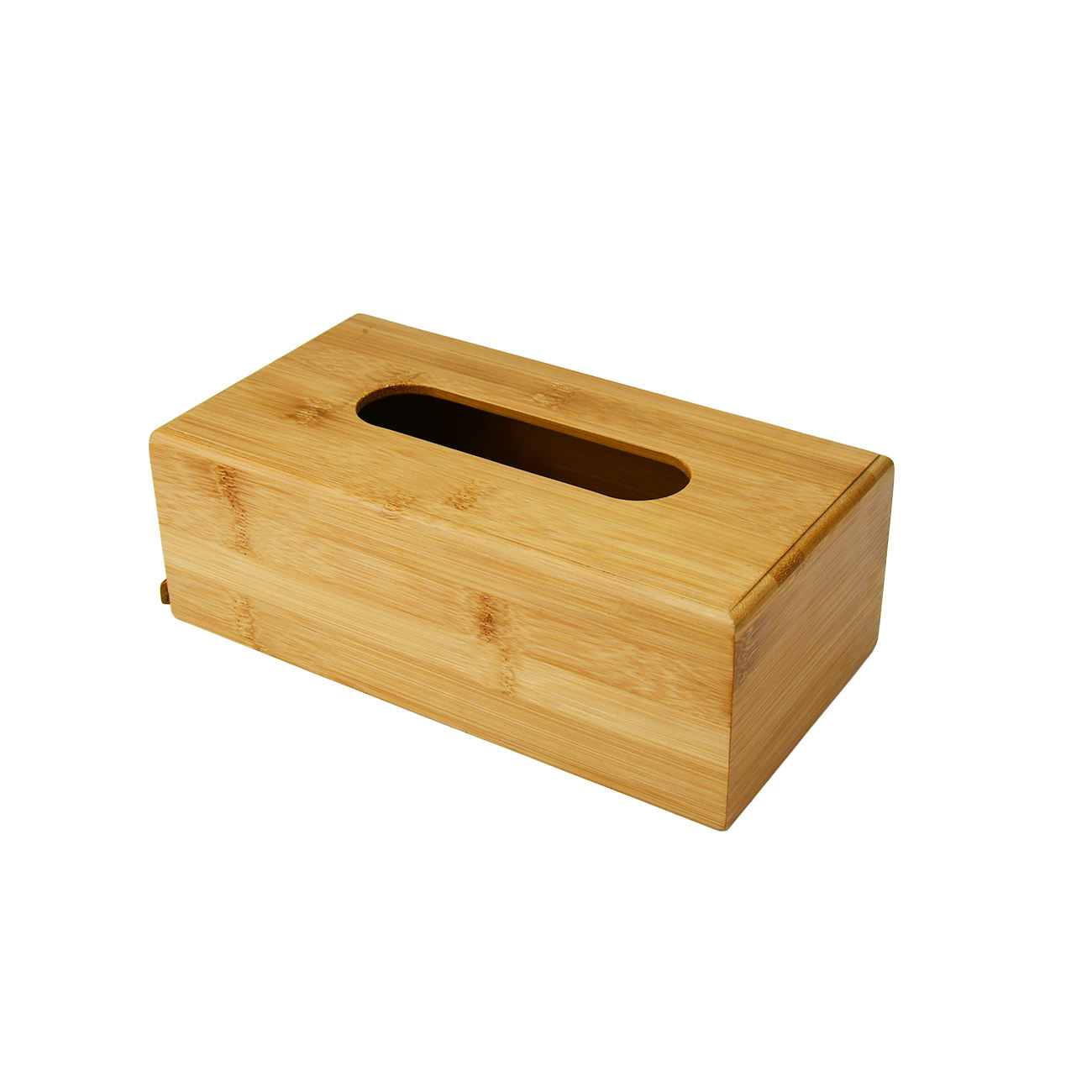 ธรรมชาติ