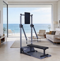 Máquina de Ejercicio Todo en Uno Aptus Gym Monster, Equipo de Entrenamiento de Fuerza para el Hogar, Portátil y Multiusos para Fortalecimiento y Desarrollo Muscular