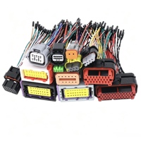 Adaptateur en cuivre pur OEM/ODM personnalisé, connecteur avec gaine en PVC, assemblage de câbles pour applications automobiles, industrielles et domestiques pour véhicules électriques