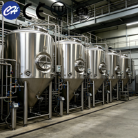 Tanque de Fermentación de Frutas de Acero Inoxidable, Fermentador de Vino para Equipos de Procesamiento de Uva, Certificado ASME CE para Procesamiento de Alimentos
