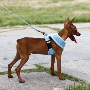 <span class=keywords><strong>Gemgogo</strong></span> Fournitures Pour Animaux De Compagnie En Gros Chien Harnais - Product Image 4