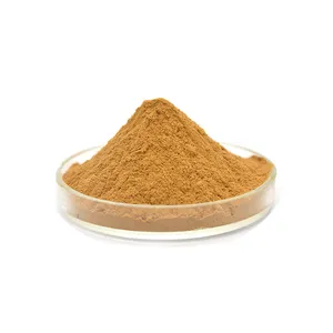 Wholesale Price Piper Nigrum Extract Piper Nigrum Seed Extract Powder