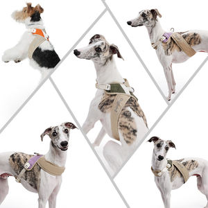 Tali kekang anjing tugas berat X Mesh, tali nilon dapat disesuaikan dengan gesper modis nyaman ukuran XS untuk berjalan mudah - Product Image 4