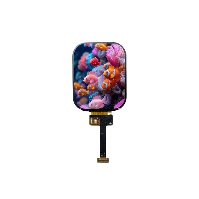 2.01 Inch IPS TFT LCD Module | ST7789P3 | 8-Bit Parallel 8080 | Smart Watch Display | Wide Viewing Angle