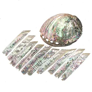 XE-213 Natural Shell Paper Mexico Abalone Shell Chips Abalone Shell Jewelry Natural Organic Material For Art Crafts