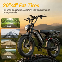 Vélo électrique tout-terrain à pneus larges, suspension intégrale, longue autonomie, vélo de ville, porte-bagages arrière, moteur sans balais 250W, 5 vitesses, stock européen