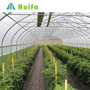 Bán Nhà Kính Nông Nghiệp Hầm Ốc Nuôi Ốc Sên Màng Nhựa Nhà Kính Trồng Cà Chua Nhà Kính - Product Image 4