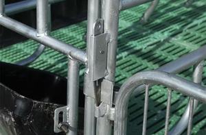 Équipements d'élevage porcin : Équipements en plastique pour truies, sol à lattes, cage de mise bas galvanisée pour porcs - Product Image 6