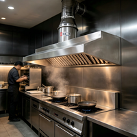 Hotte de cuisine commerciale en acier inoxydable avec ventilateur intégré et filtre à graisse pour cantine et cuisine professionnelle