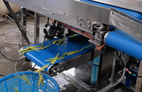 Industriële automatische mangopelmachine voor fruit- en groenteverwerkingsfabrieken, hoogrendementsapparatuur