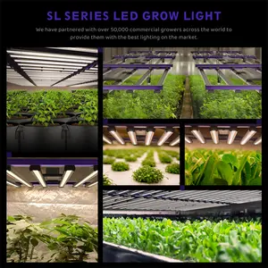 Seednleaf High Power 730W 1900Umol/s Full Spectrum 2.6Umol/J 5-Year Warranty LED Grow Light For Indoor Plant Grow