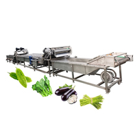 Ligne complète de transformation de tomates avec système de lavage, de tri, de broyage, de pulpage et de pasteurisation pour légumes-feuilles