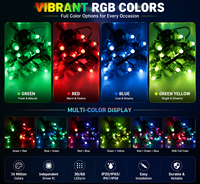 Guirlande lumineuse LED numérique RGB extérieure, étanche IP67, adressable individuellement, pour la décoration de Noël et des fêtes