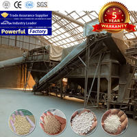 China Factory Price Dissolve Potassium Salt and Sodium Chloride Together to Produce KCL Mop Compound Fertilizer Production Line