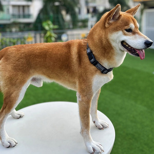 Correa de lino para perros, ajustable, de color sólido, para perros pequeños, accesorio para pasear mascotas - Product Image 1