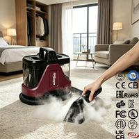 2026 CE CB Portable Direct usine Nettoyeur vapeur humide et sec pour taches sur canapé, tapis, tissus d'ameublement, oreillers et carrelage