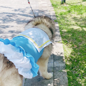 Jupon bouffant Pet Fairy Tale World, pour chats, Teddy, Golden Retrievers, Alaskan Malamutes, Huskies de Sibérie, vêtements printemps-été - Product Image 1