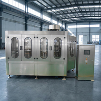Ligne de remplissage automatique de bouteilles pour boissons gazeuses, sodas, eaux et autres liquides
