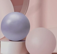 Bola Yoga Pilates PVC 25cm Custom Grosir untuk Wanita, Alat Fitness Gym untuk Menjaga Tubuh Tetap Ramping di Rumah