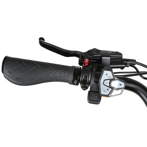 Nuevo Triciclo Eléctrico de Carga Multifuncional de Largo Alcance 48V/13AH 2026, Bicicleta Eléctrica Urbana - Product Image 3