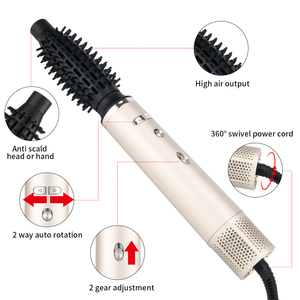 PRITECH फ़ैक्टरी 3-इन-1 प्रोफेशनल इलेक्ट्रिक हेयर रोटेटिंग हॉट एयर ब्लो ड्रायर ब्रश रोटेटिंग हेयर ड्रायर - Product Image 2