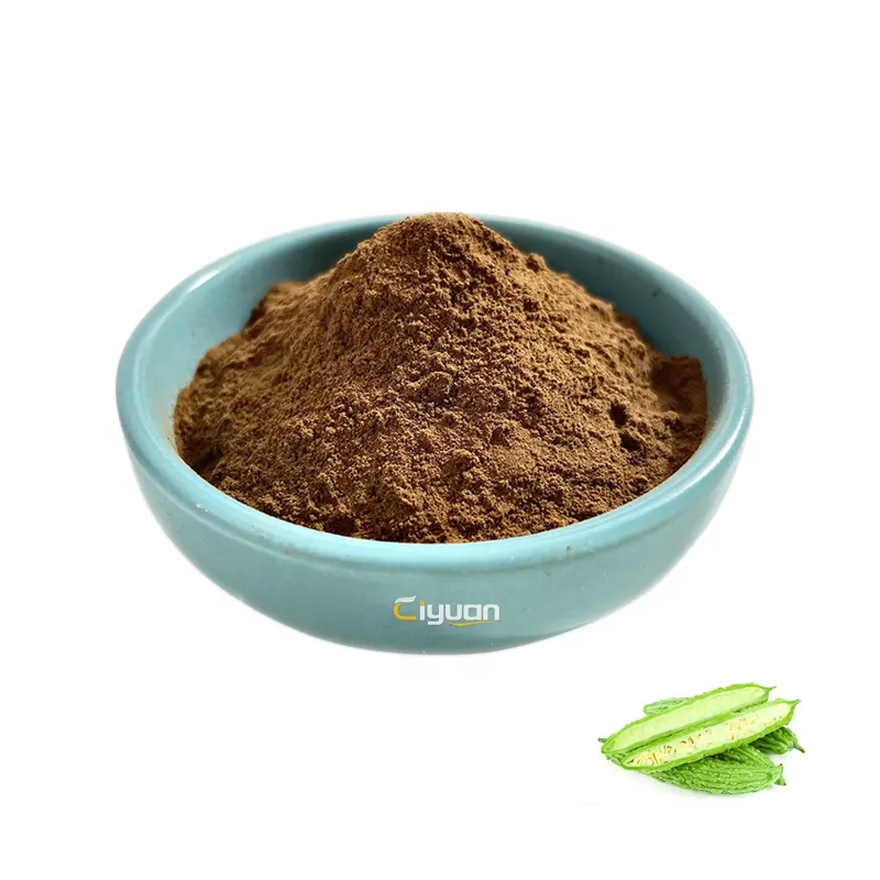 Factory Supply Charantin 10% Bitter Melon( Gourd) extract Balsam Pear Powder in Bulk