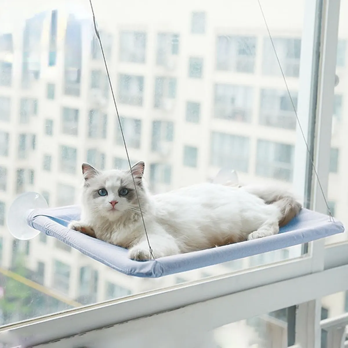 Haustier hängendes Bett Katzen betten Sauger Fenster montiert Barsch Katze Hängematte Holz regal Sitz Haustier Klettern unterstützt bis zu 20kg