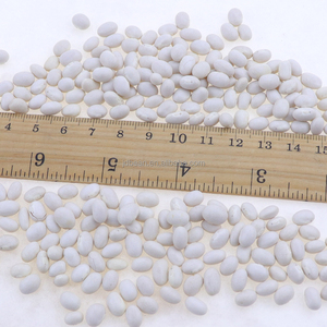 Habas de riñón blancas, tamaño pequeño, secas, a granel, Canadá - Product Image 2