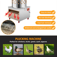 Plumeuse à volaille en acier inoxydable, machine à plumer automatique commerciale, équipement électrique pour épiler les dindes et les canards