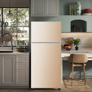 Bon prix Mini réfrigérateur électrique à congélateur en haut en plastique 102L Réfrigérateur à double porte à congélation rapide à double température - Product Image 1