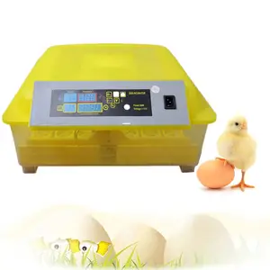 hot sale free shipping lz DC AC dual full automatic 48 chicken Mini eggs incubator