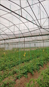 ตะขอแขวนคุณภาพสูง หลายขนาด สำหรับแขวน<span class=keywords><strong>เสา</strong></span> พร้อมตะขอคู่สำหรับการปลูกไม้เลื้อย - Product Image 3