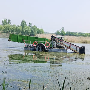 Plate-forme ponton à double convoyeur Récolteuse aquatique Élimination efficace de l'<span class=keywords><strong>eau</strong></span> <span class=keywords><strong>Laitue</strong></span> Tapis <span class=keywords><strong>d</strong></span>'algues Surface Moteur automatique Boîte de vitesses - Product Image 4