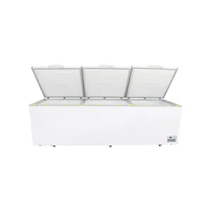 220V Manual Defrost Commercial Steel Deep Chest Freezer Refrigerator And Chiller Bon Brand Chest Freezer