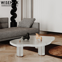 WISEMAX MÖBEL Nordic Modern Design Wohnzimmer klar Acryl Transparent Kunststoff Couch tisch Sofas Acryl Center Tee tisch
