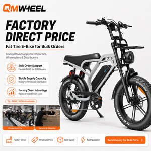 QMWHEEL V20 Limited bicicleta eléctrica 48V, moto eléctrica todoterreno 48v, bicicleta eléctrica estilo 48v, venta directa de fábrica, OEM, ODM - Product Image 1
