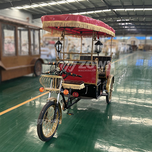 รถสามล้อไฟฟ้าขับเคลื่อน 3 ล้อ แบบแถวเดียว 6 สปีด โครงเหล็ก สำหรับนักท่องเที่ยว - Product Image 1