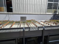 Commerciële 304 roestvrijstalen borstelwasmachine Automatische fruit- en groentewasmachine voor aardappel, wortel, appel, citrusvruchten