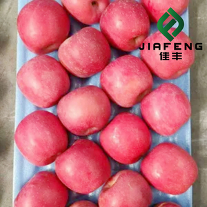 <span class=keywords><strong>Pommes</strong></span> rouges Fuji fraîches et juteuses provenant <span class=keywords><strong>de</strong></span> la ferme chinoise - Product Image 2
