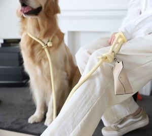 Hanging PU Leather Embossed Design Novelty Style Poop Bag <b>Carrier</b> Carabiner Portable Dog Waste Dispenser Outdoor Walking <b>Pet</b> - Product Image 3
