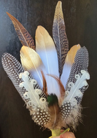 Plume d'oie naturelle pour les arts artisanat bricolage stylo aile coiffure Costume chapeau cheveux accessoire carnaval fête mariage maison noël