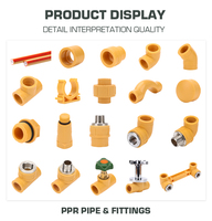 Raccords de tuyauterie PPR de haute qualité Hitze Customization pour eau chaude et froide, raccords en plastique PPR