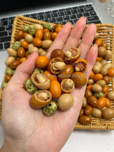 Machine de production automatique d'enrobage par pulvérisation de mélange de poudre de graines de sucre de praliné de haricot de chocolat de fruits secs - Product Image 4