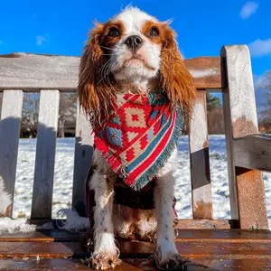 Bandana anjing katun tepi berjumbai flanel leher anjing pakaian syal anjing Aksesori hewan peliharaan gaya BoHo - Product Image 1